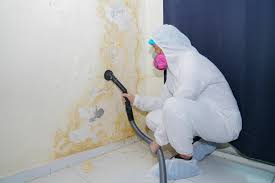 Best Commercial Mold Inspection  in Rossville, TN